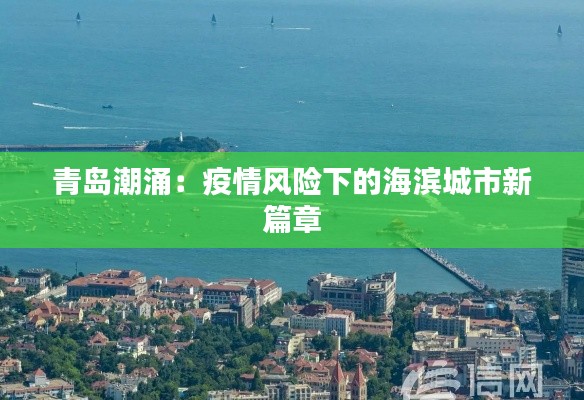 青岛潮涌:疫情风险下的海滨城市新篇章