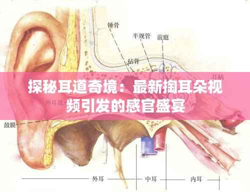 探秘耳道奇境:最新掏耳朵视频引发的感官盛宴
