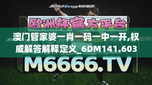 澳门管家婆一肖一码一中一开,权威解答解释定义_6DM141.603-1