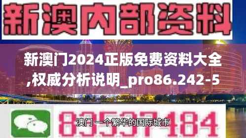 新澳门2024正版免费资料大全,权威分析说明_pro86.242-5