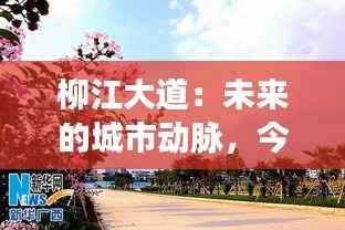 柳江大道：未来的城市动脉，今日的最新动态