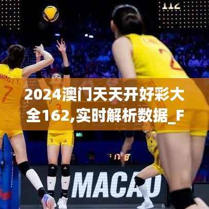 2024澳门天天开好彩大全162,实时解析数据_FHD版4.528