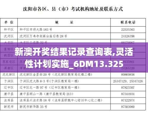 新澳开奖结果记录查询表,灵活性计划实施_6DM13.325