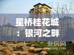 东成西就 第5页