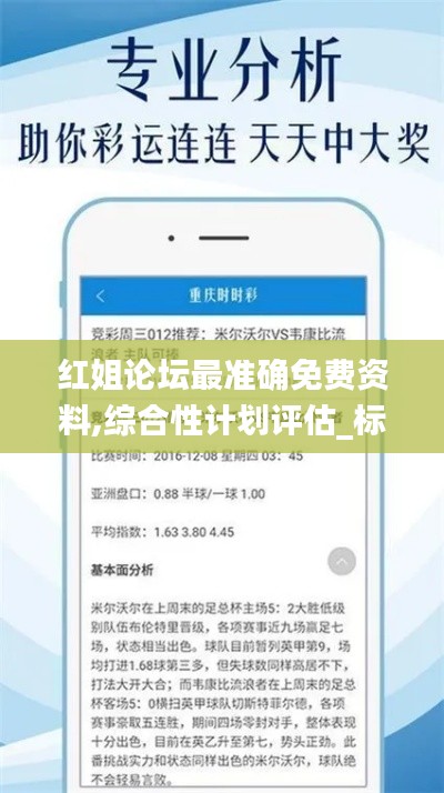 红姐论坛最准确免费资料,综合性计划评估_标准版3.973