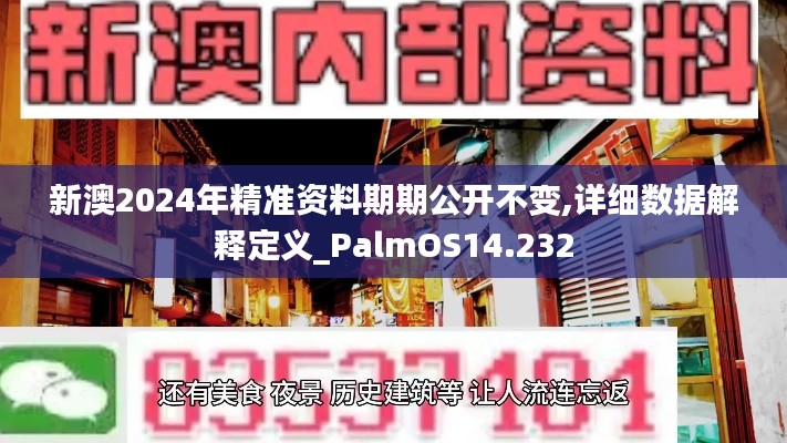 新澳2024年精准资料期期公开不变,详细数据解释定义_PalmOS14.232