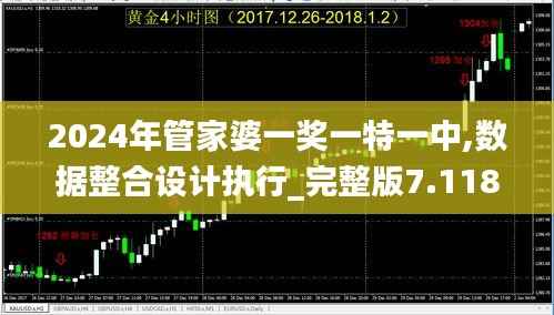 2024年管家婆一奖一特一中,数据整合设计执行_完整版7.118