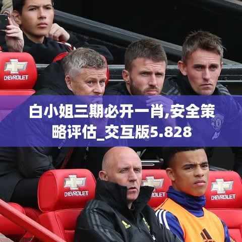 白小姐三期必开一肖,安全策略评估_交互版5.828