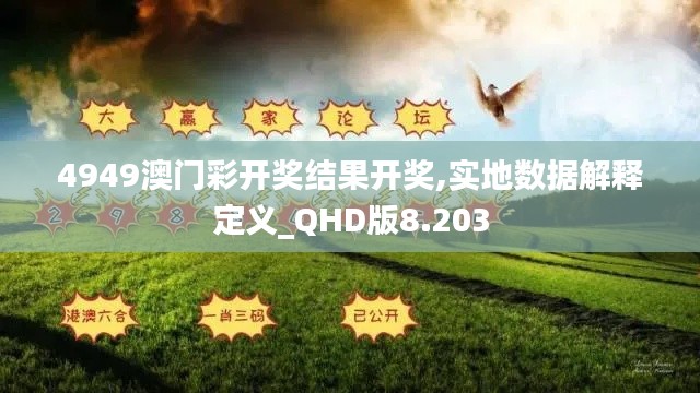 4949澳门彩开奖结果开奖,实地数据解释定义_QHD版8.203