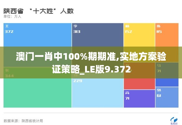 澳门一肖中100%期期准,实地方案验证策略_LE版9.372