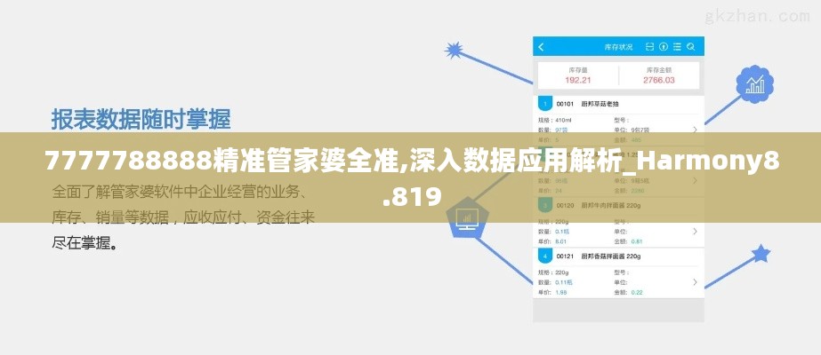 7777788888精准管家婆全准,深入数据应用解析_Harmony8.819