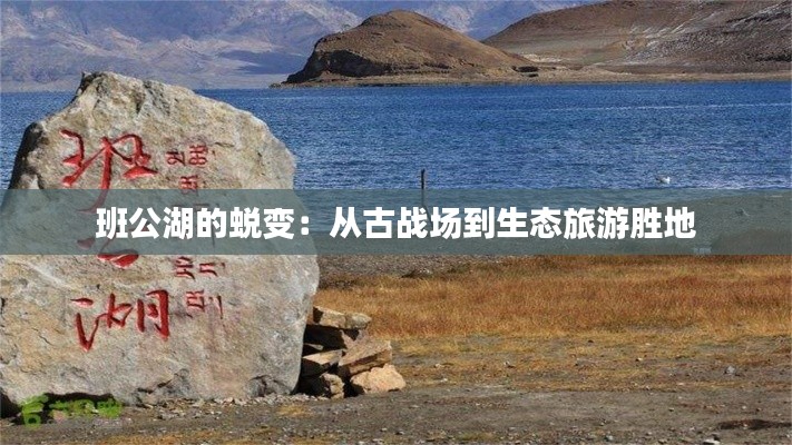 雍荣闲雅 第5页