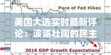 美国大选实时最新评论:波澜壮阔的民主盛宴