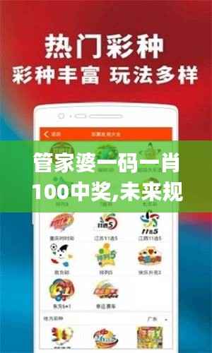 管家婆一码一肖100中奖,未来规划解析说明_标准版5.593