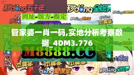 管家婆一肖一码,实地分析考察数据_4DM3.776