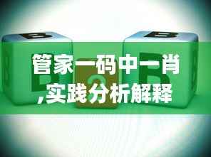 管家一码中一肖,实践分析解释定义_Phablet19.695