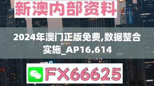 2024年澳门正版免费,数据整合实施_AP16.614
