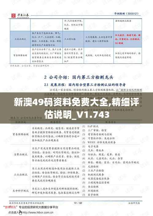 新澳49码资料免费大全,精细评估说明_V1.743