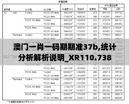 澳门一肖一码期期准37b,统计分析解析说明_XR110.738