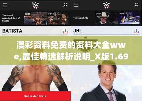 澳彩资料免费的资料大全wwe,最佳精选解析说明_X版1.696