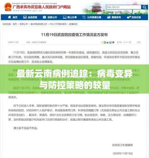 最新云南病例追踪:病毒变异与防控策略的较量