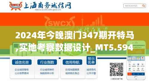 2024年今晚澳门347期开特马,实地考察数据设计_MT5.594