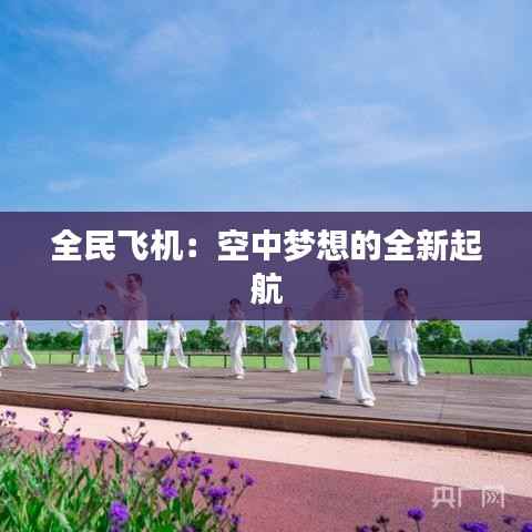 全民飞机：空中梦想的全新起航
