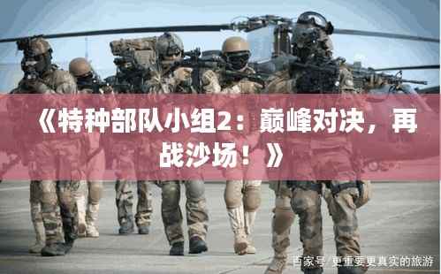 《特种部队小组2:巅峰对决,再战沙场!》