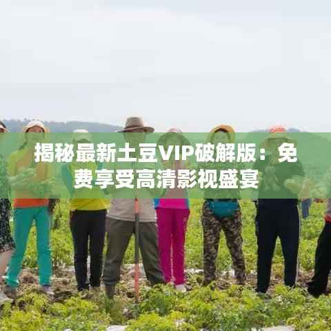 揭秘最新土豆VIP破解版:免费享受高清影视盛宴