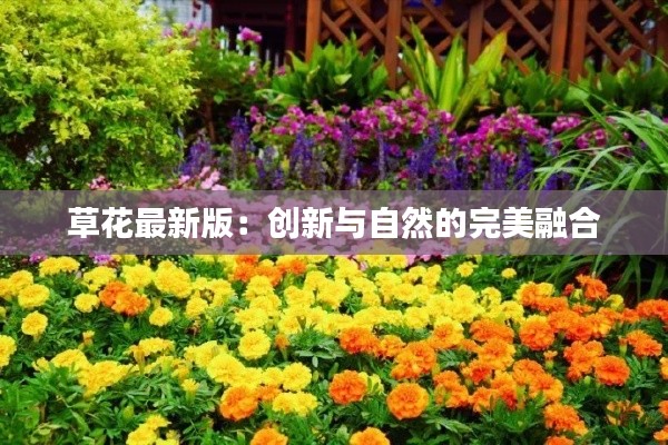 草花最新版:创新与自然的完美融合