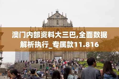 澳门内部资料大三巴,全面数据解析执行_专属款11.816