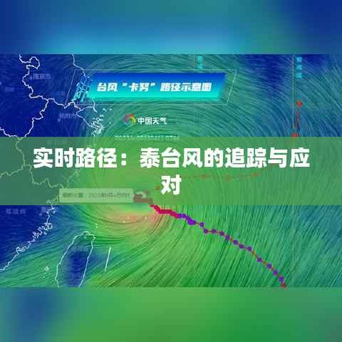 实时路径:泰台风的追踪与应对