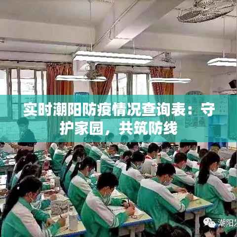 实时潮阳防疫情况查询表:守护家园,共筑防线
