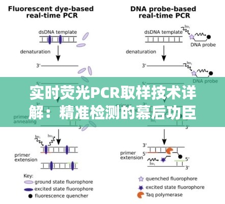 联系方式 第179页