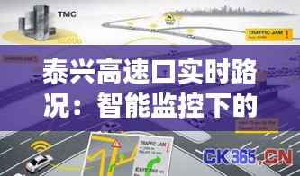 泰兴高速口实时路况：智能监控下的出行助手