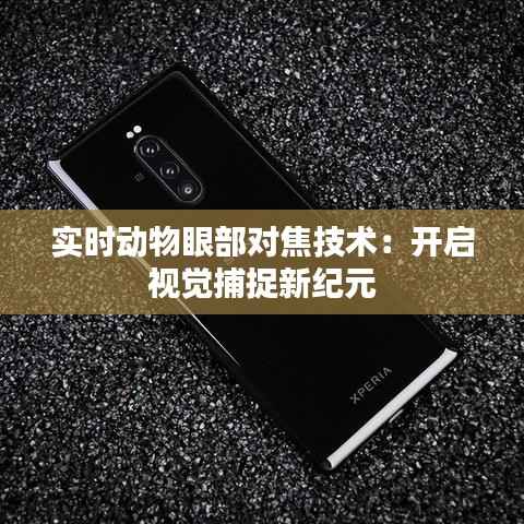 联系方式 第176页