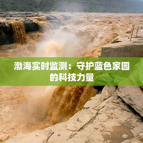 渤海实时监测:守护蓝色家园的科技力量