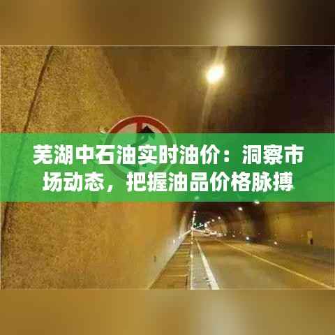 芜湖中石油实时油价：洞察市场动态，把握油品价格脉搏