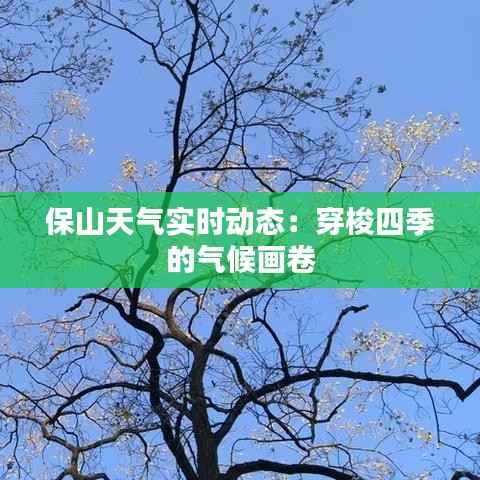 保山天气实时动态：穿梭四季的气候画卷