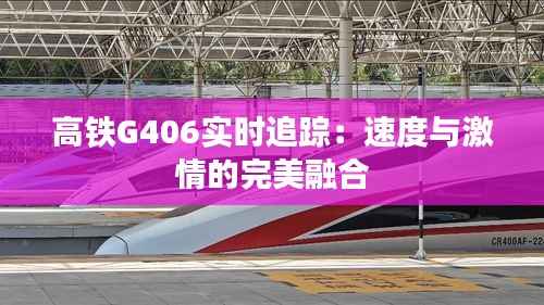 高铁G406实时追踪：速度与激情的完美融合