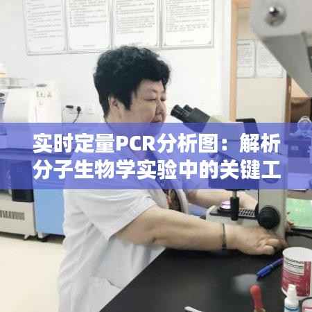 实时定量PCR分析图:解析分子生物学实验中的关键工具
