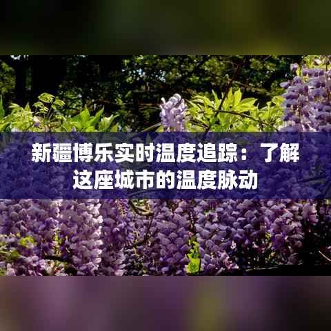 新疆博乐实时温度追踪:了解这座城市的温度脉动