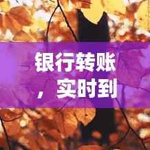 银行转账，实时到账还是稍后到账？揭秘转账速度之谜