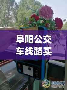 阜阳公交车线路实时查询：便捷出行，智慧城市新体验