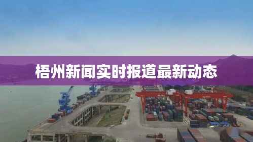 梧州新闻实时报道最新动态