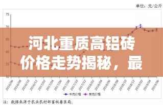河北重质高铝砖价格走势揭秘,最新行情分析!