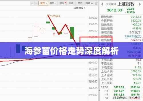 海参苗价格走势深度解析