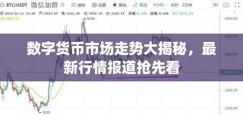数字货币市场走势大揭秘,最新行情报道抢先看
