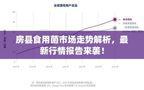 房县食用菌市场走势解析,最新行情报告来袭!