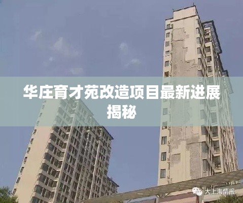 华庄育才苑改造项目最新进展揭秘